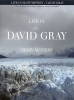 Gray, David : David Gray: Life In Slow Motion