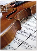 Pochette Plastique - Violin